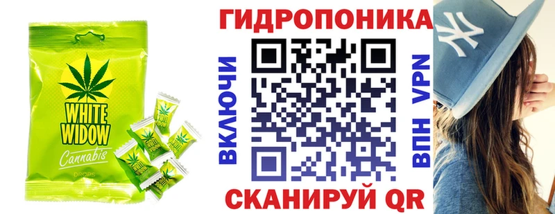 Cannafood марихуана  Купить закладки  Буйнакск 