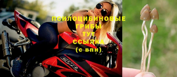 альфа пвп Лагань