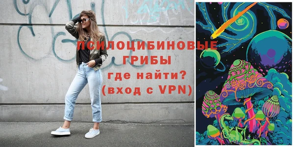 шишки Кулебаки