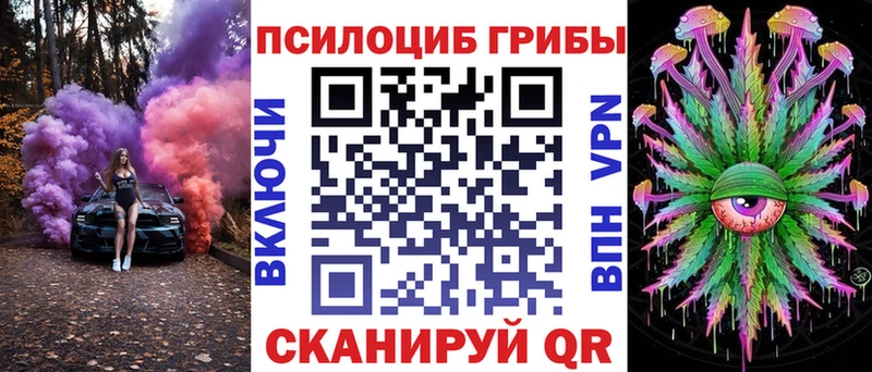 Купить закладки  Буйнакск  Галлюциногенные грибы Psilocybine cubensis 